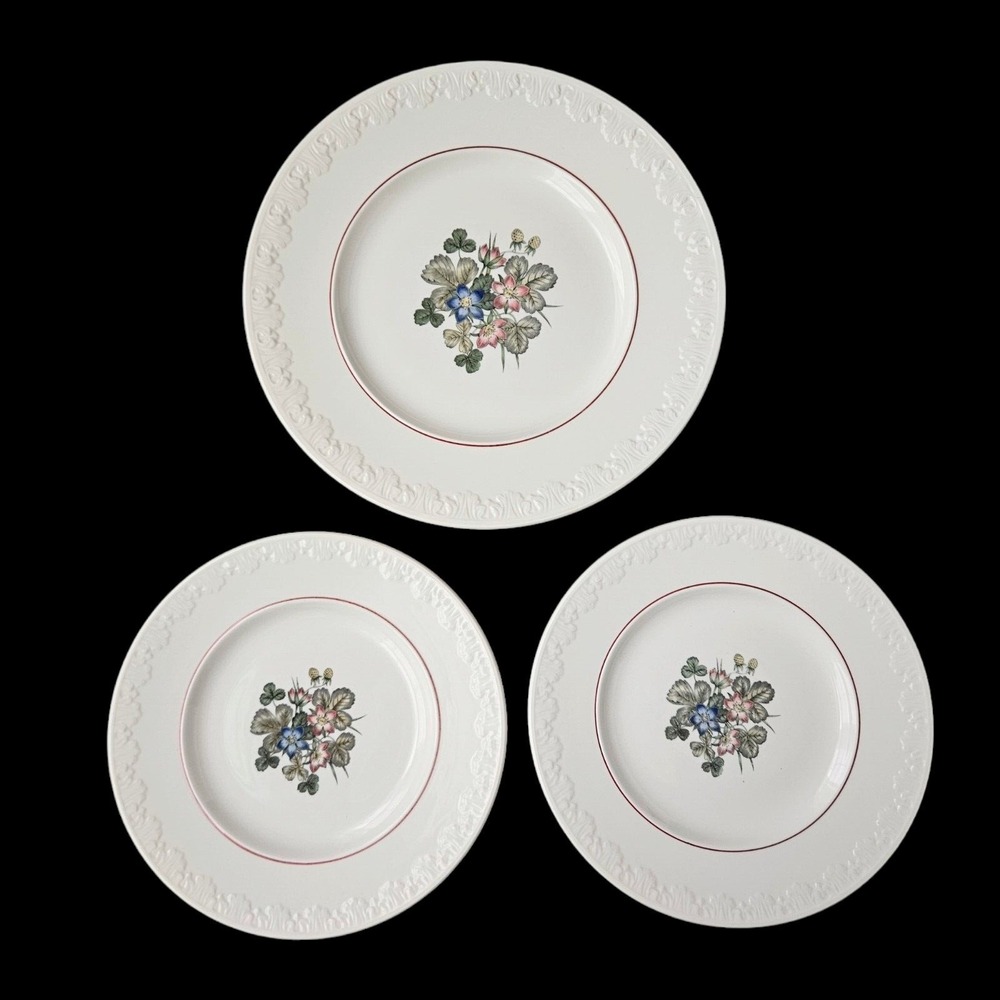 Wedgwood Pembroke Lot with 1 Dinner Plate and 2 Salad Plates Floral England READ